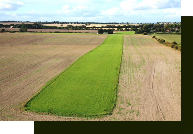 Marlborough Flying Club